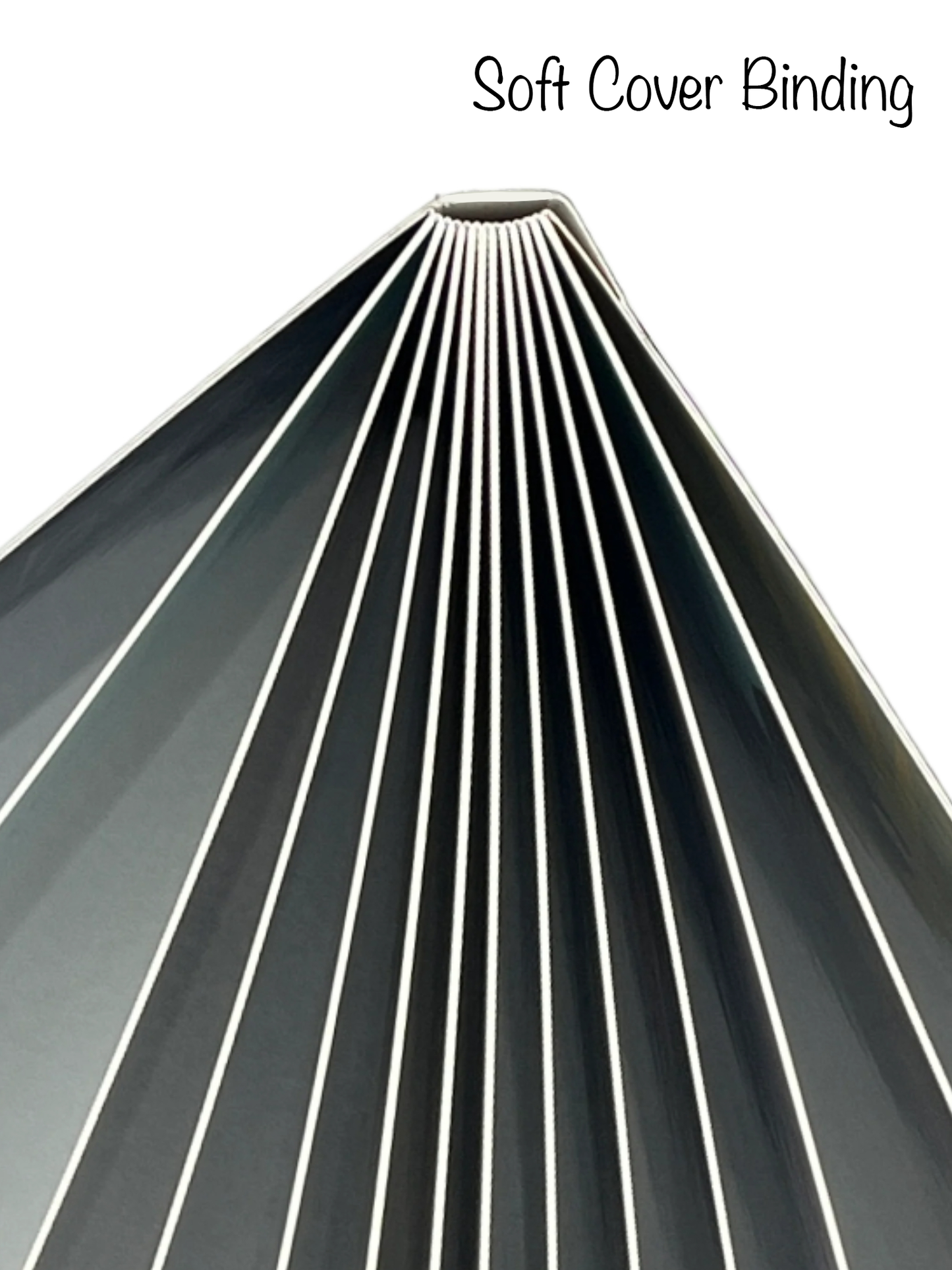 Top-down view of an open soft card cover book, clearly displaying the spine and how the binding allows it to lay open.